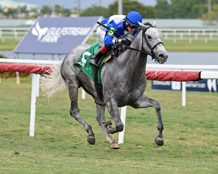 Gray's Fable wins an April 18 maiden race at Gulfstream Park