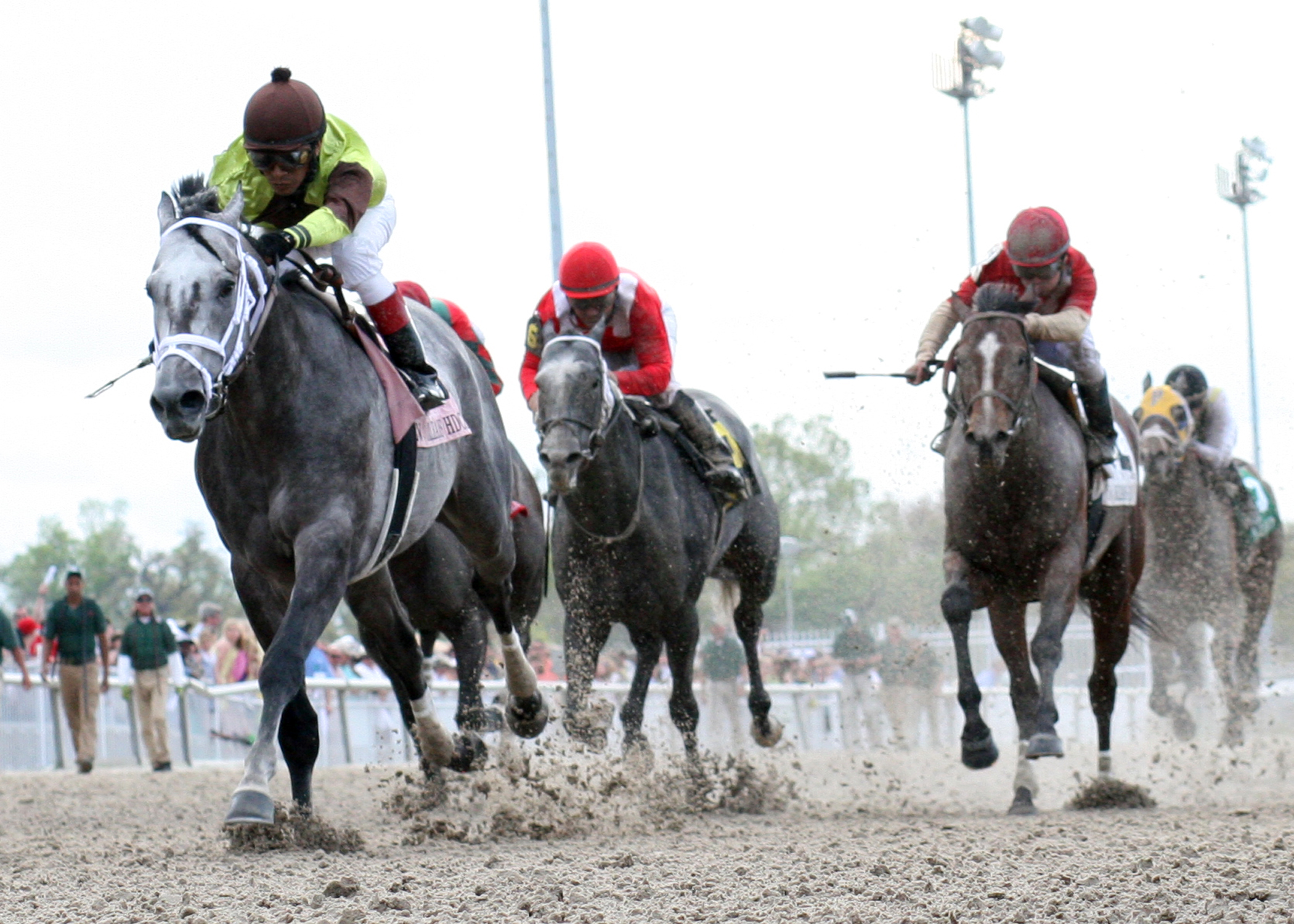 Graydar, New Orleans Handicap