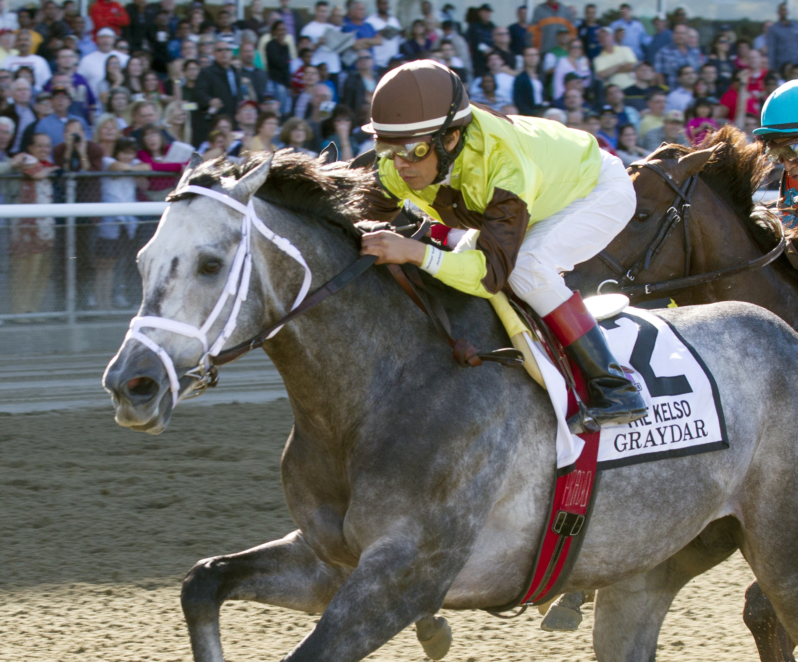 Graydar, Kelso Invitational