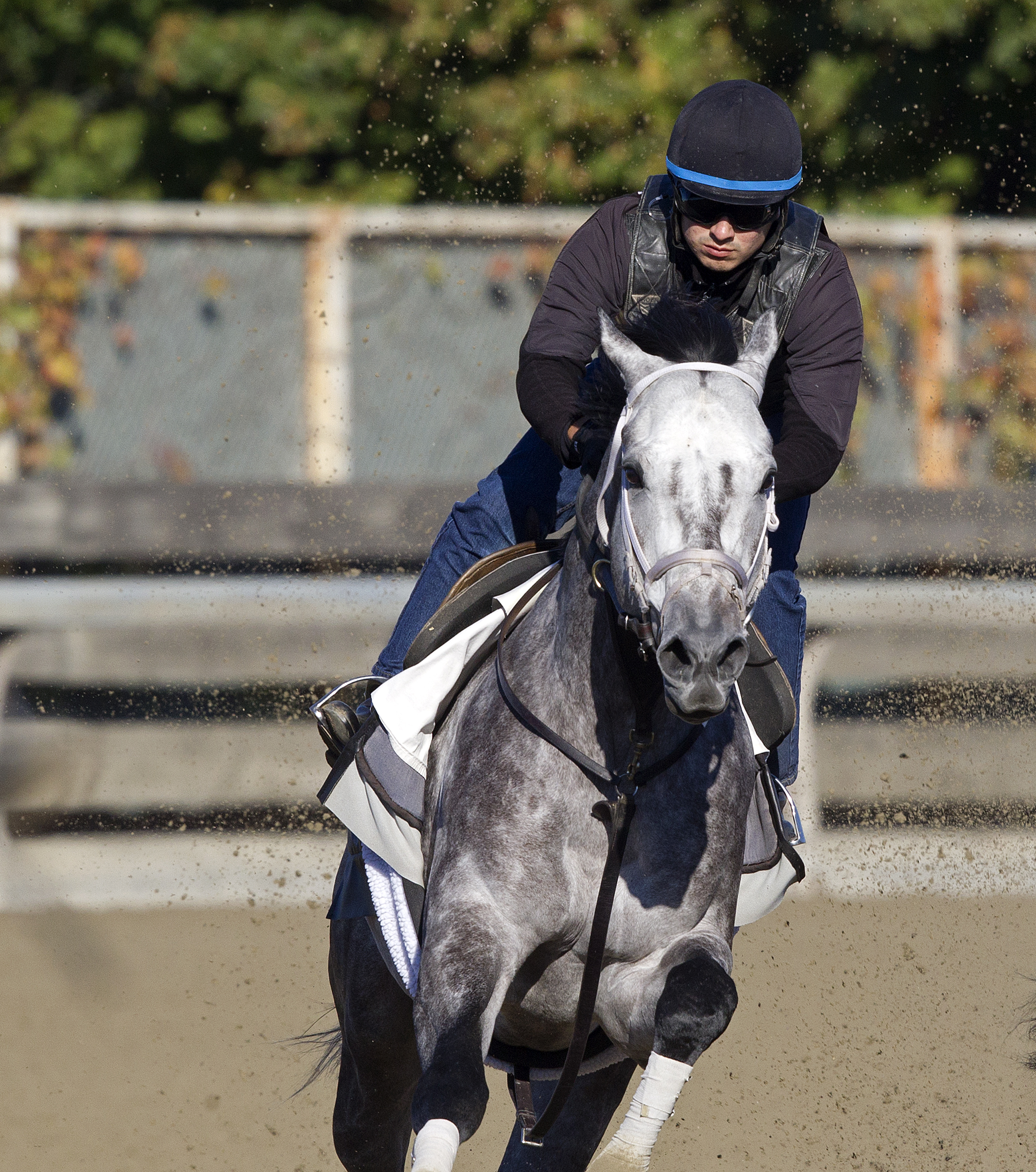 Graydar