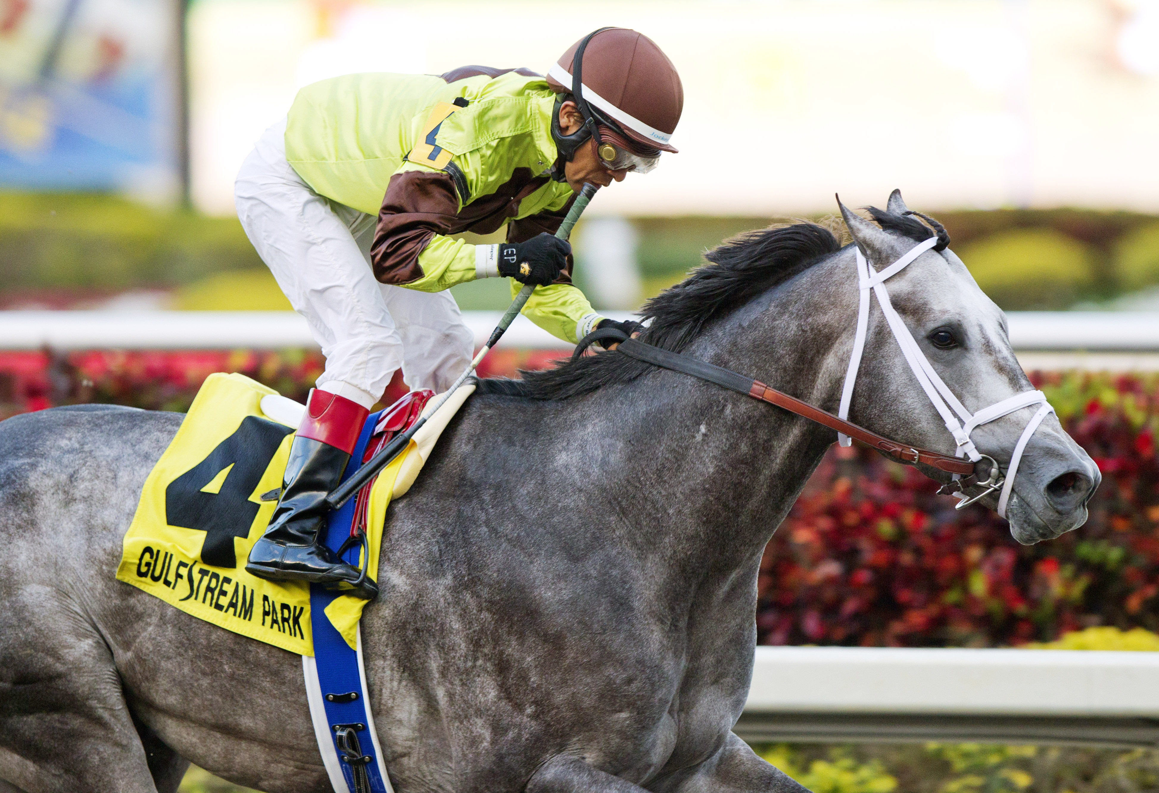 Graydar - Donn Handicap