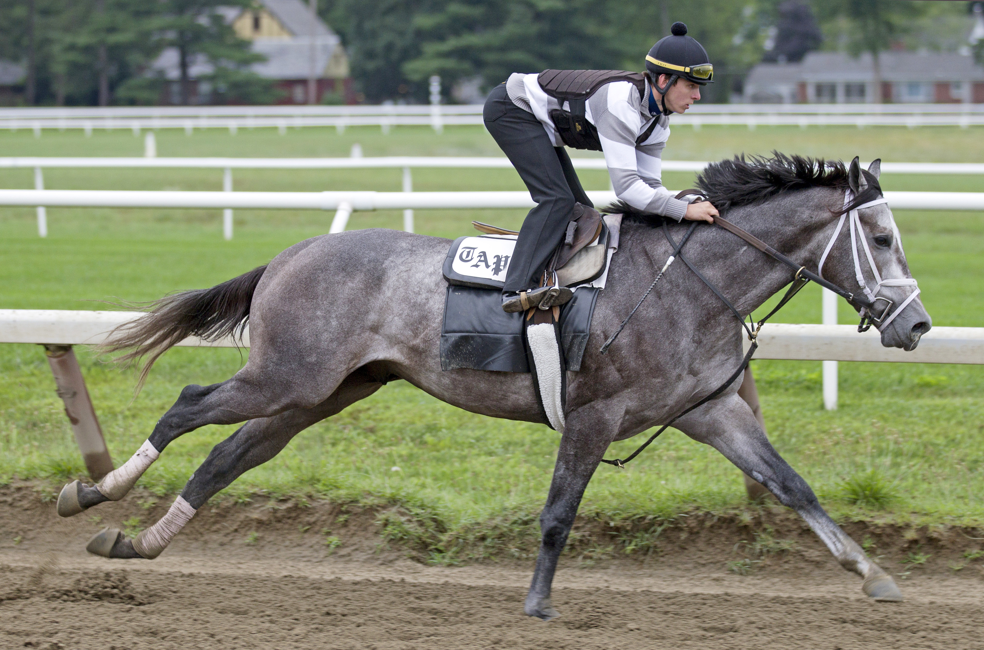 Graydar