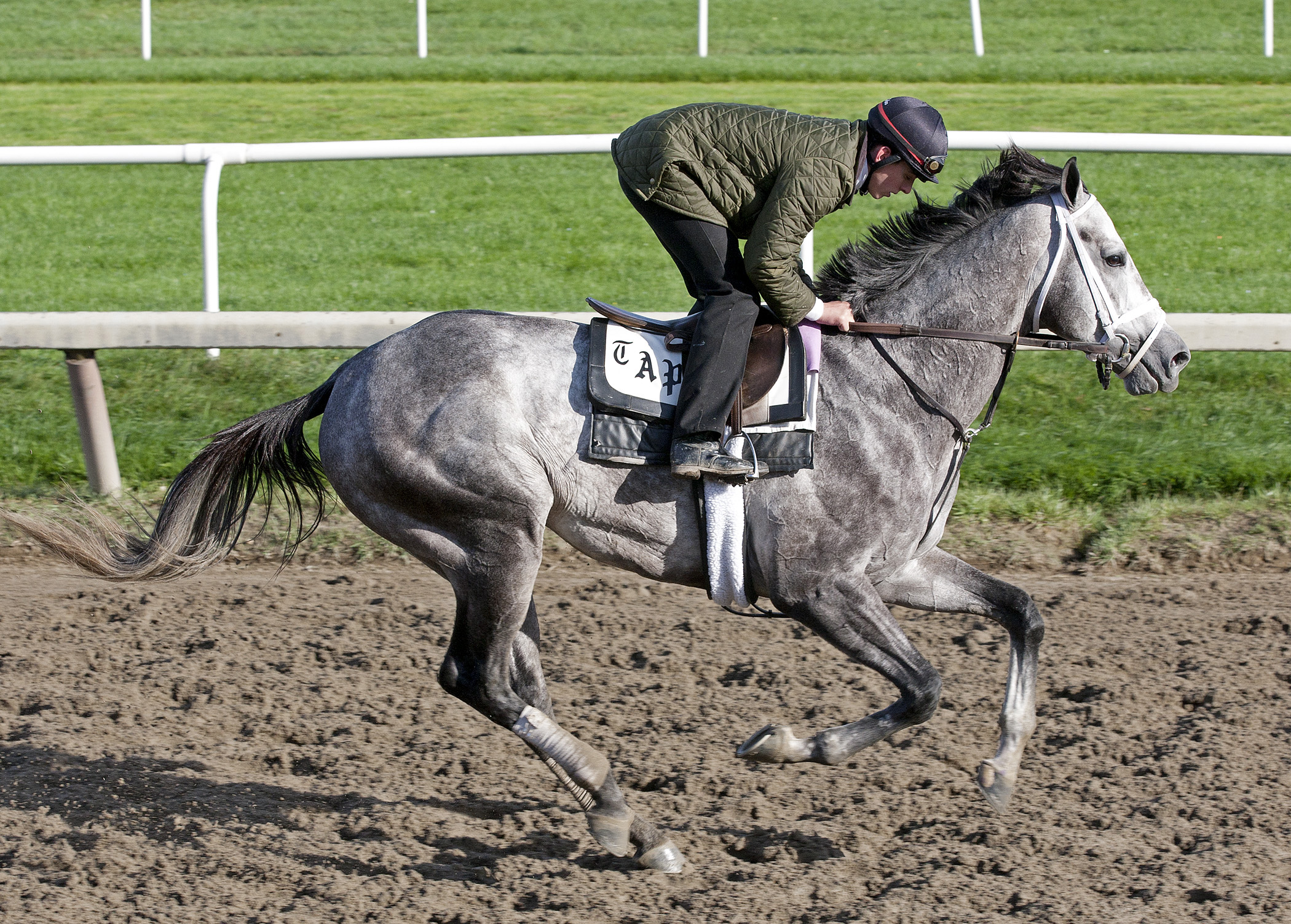Graydar