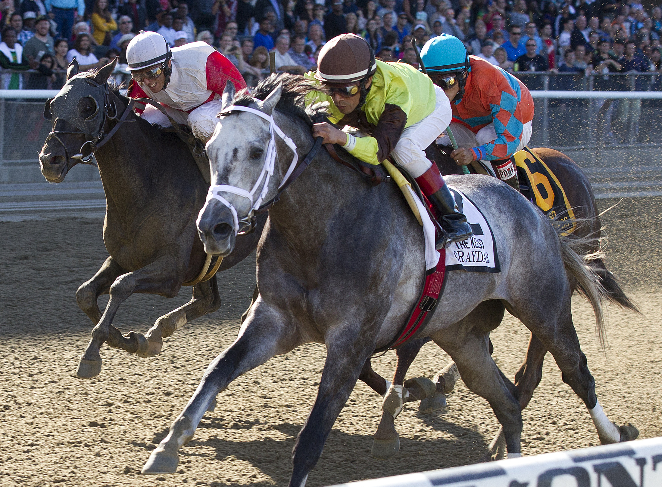 Graydar wins the Kelso