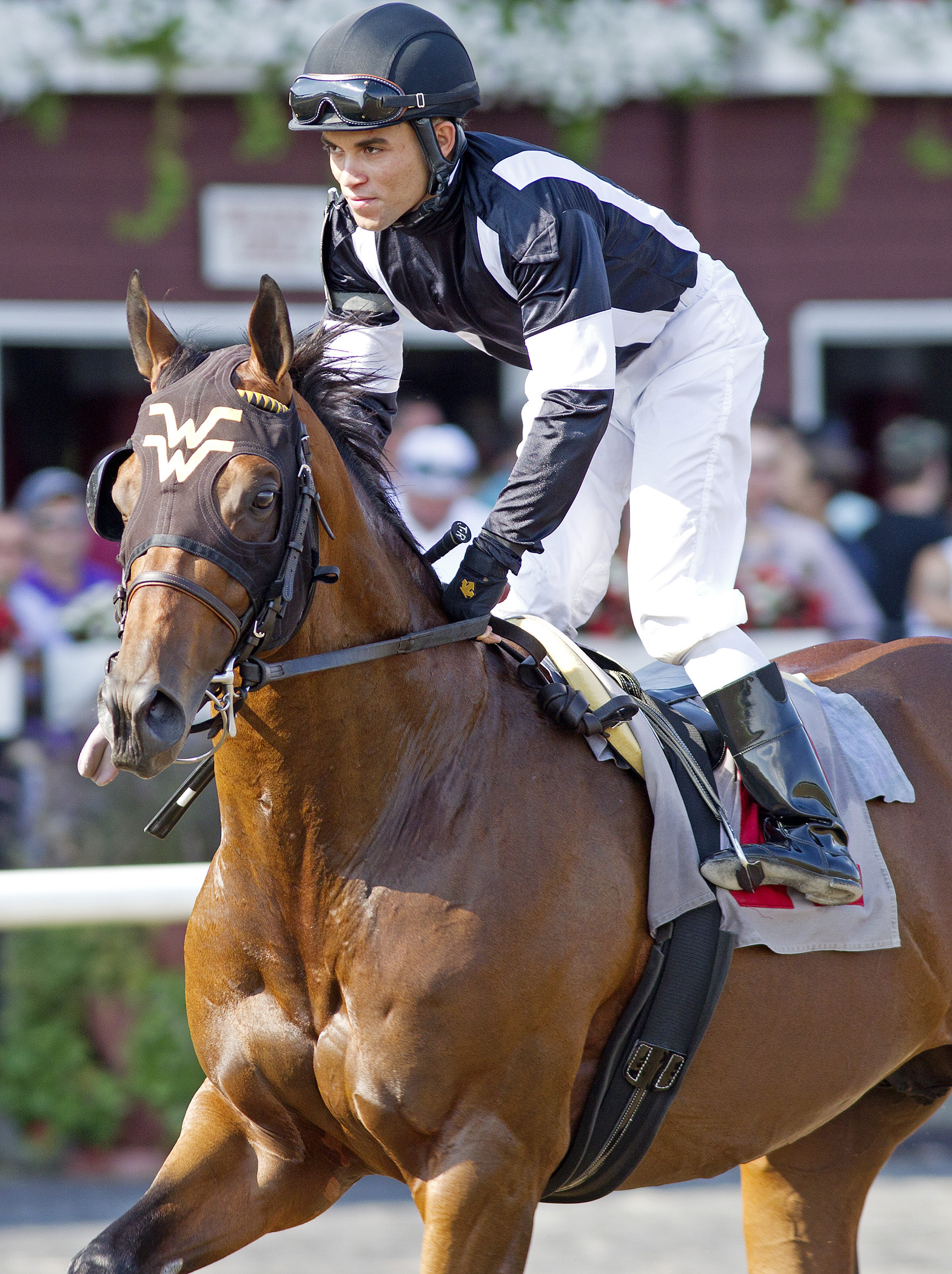 Great Attack at the 2013 Fiddlers Patriot Stakes