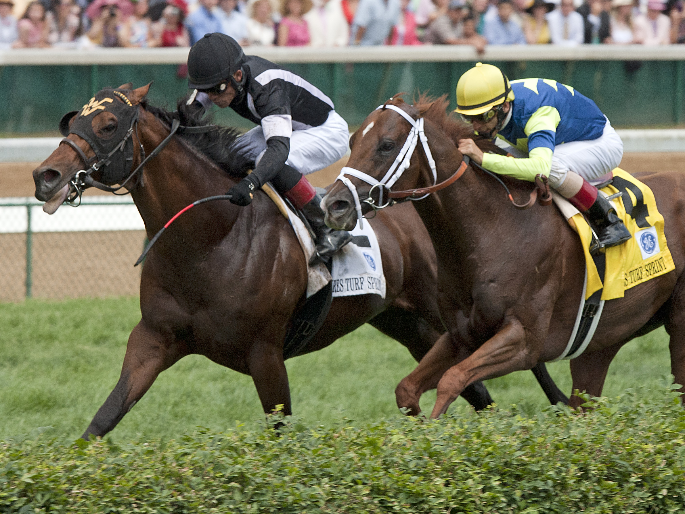 Great Attack/Twin Spires Turf Sprint