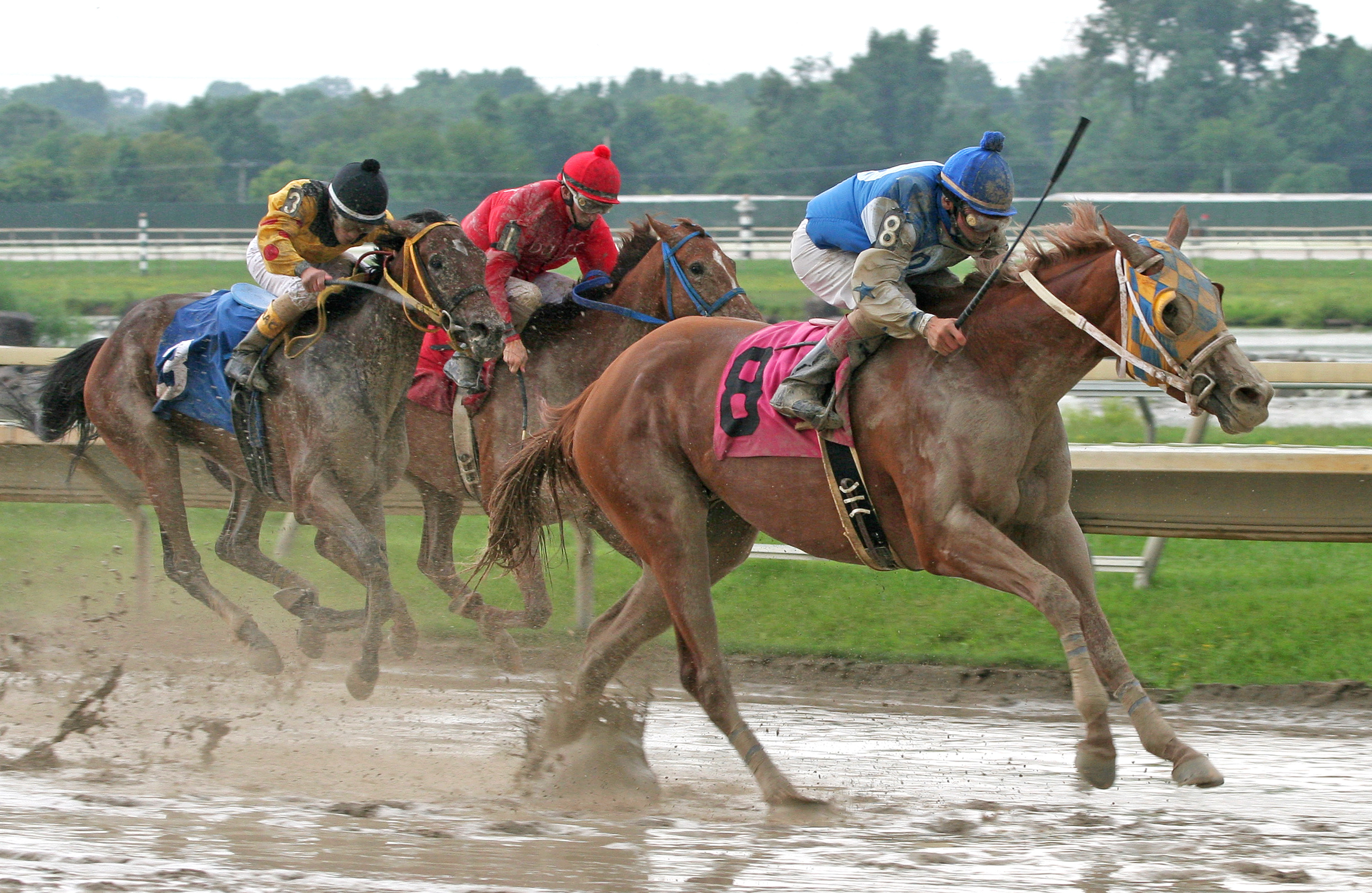 Great Lookinblonde, Power By Far Stakes