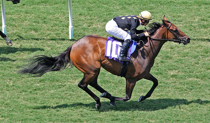Great Return wins a July 2018 maiden race at Del Mar
