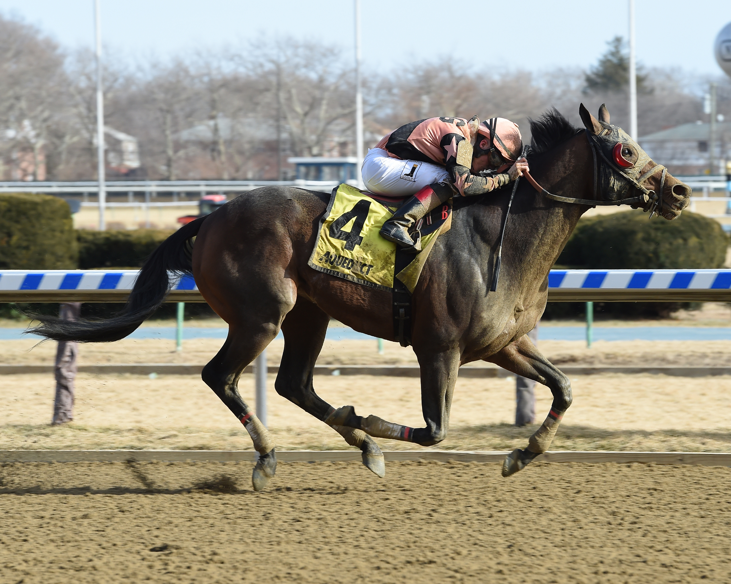 Great Stuff wins the 2018 Toboggan Stakes