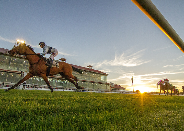 Great Wide Open wins the Buddy Diliberto Memorial