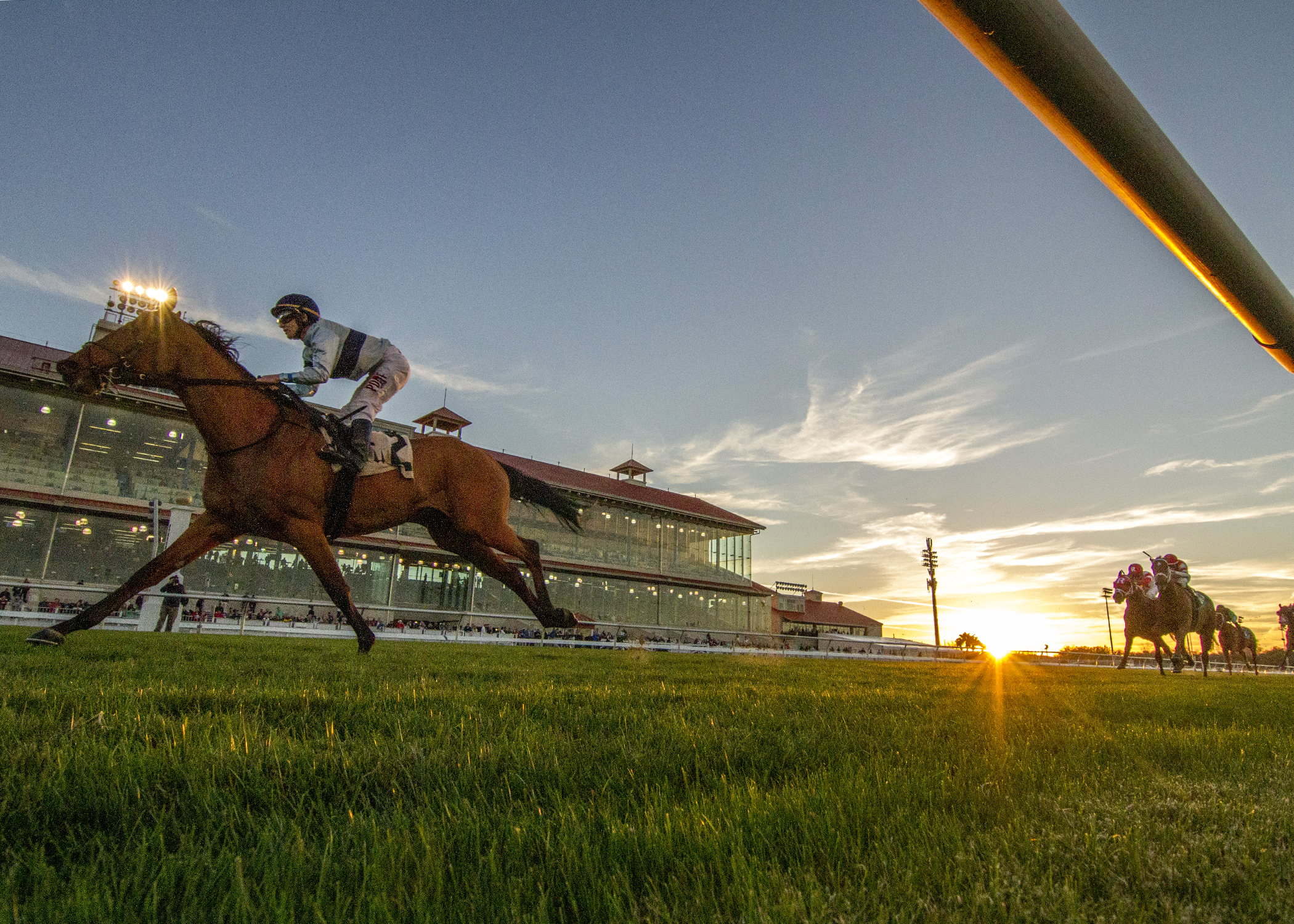 Great Wide Open wins 2018 Buddy Diliberto Memorial Stakes