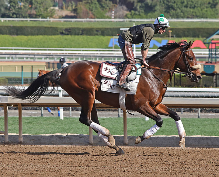 Great Power trains at Santa Anita Park on Feb. 24
