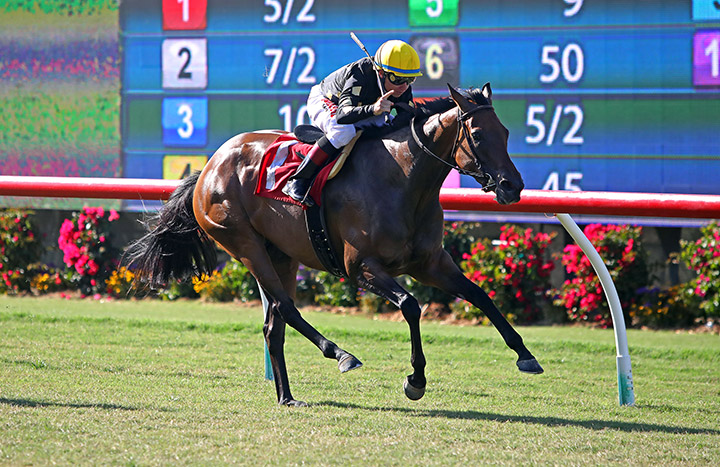Great Return wins a July 2019 allowance race at Del Mar