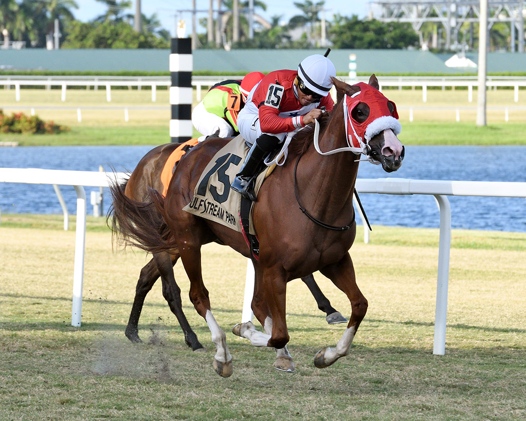 Great Sister Diane wins the 2019 Monroe Stakes at Gulfstream Park