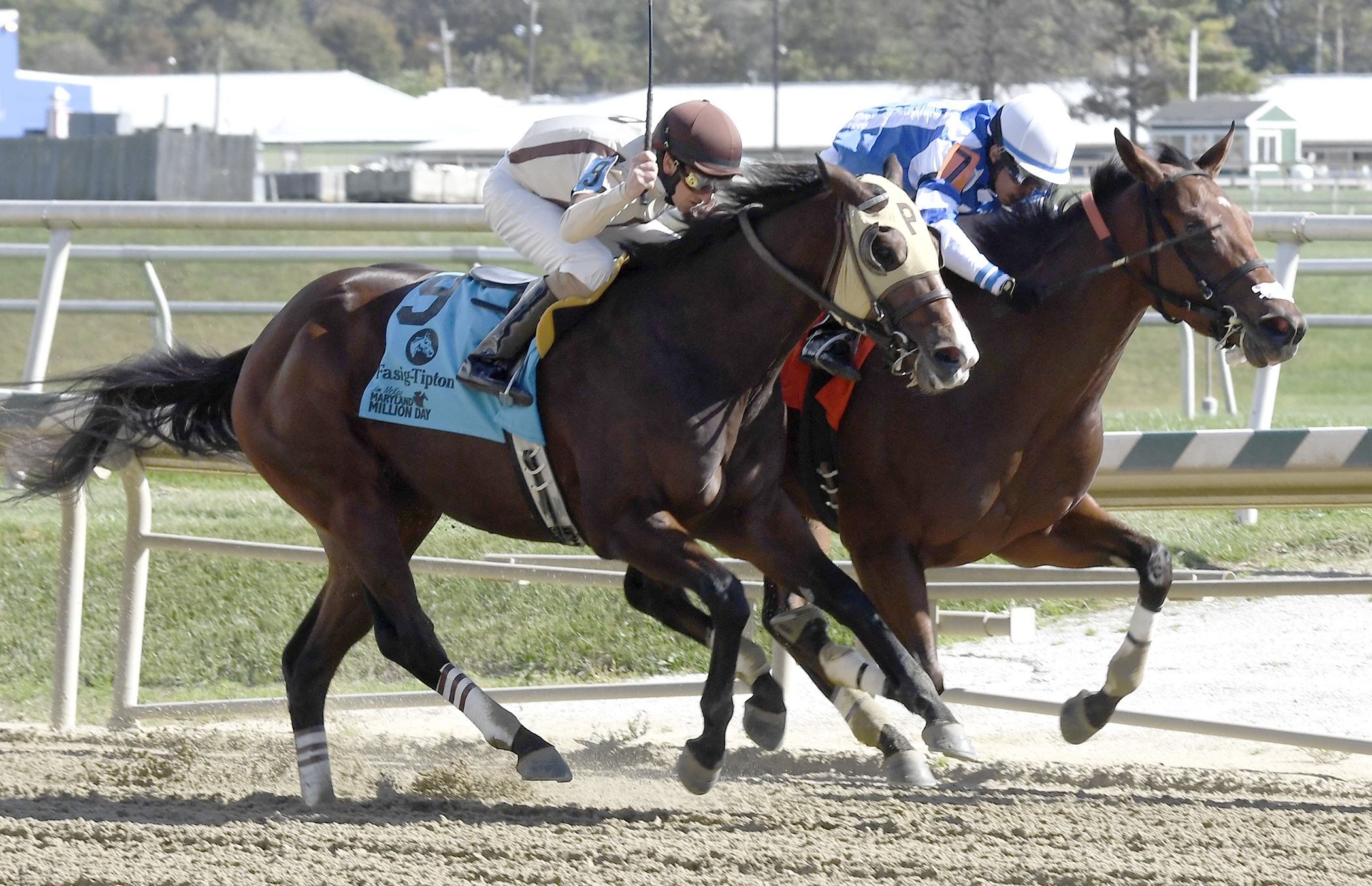 Greatbullsoffire wins the Maryland Million Nursery Stakes