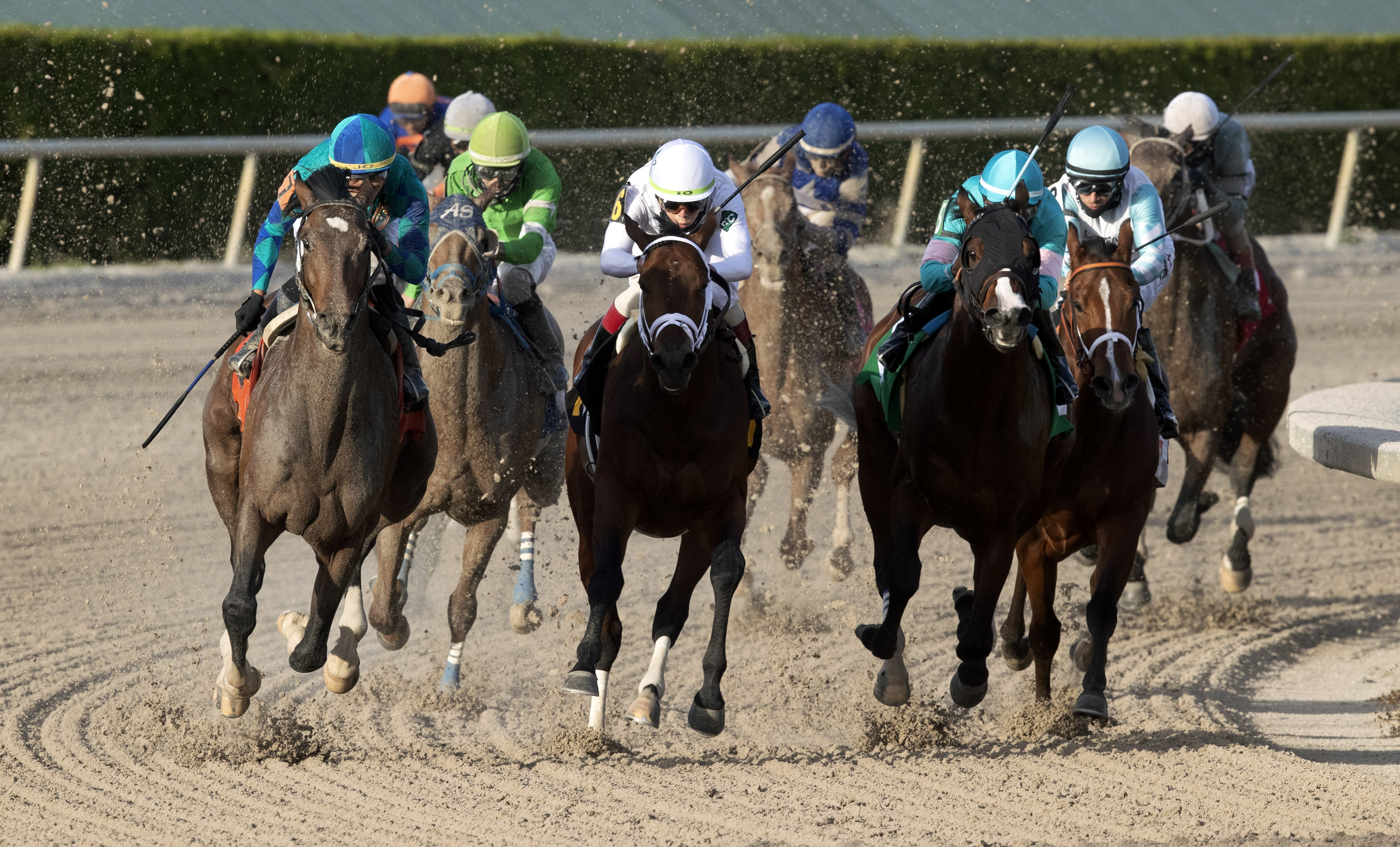 Greatest Honour wins Holy Bull Stakes 1-30-2021