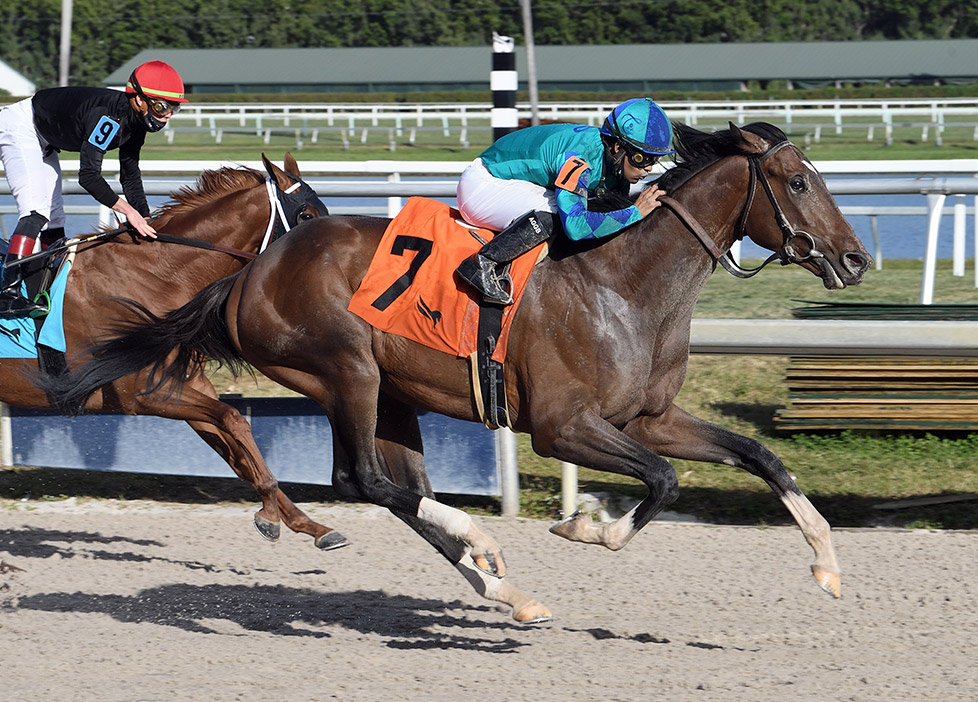 Greatest Honour wins a Dec. 26 maiden race at Gulfstream Park