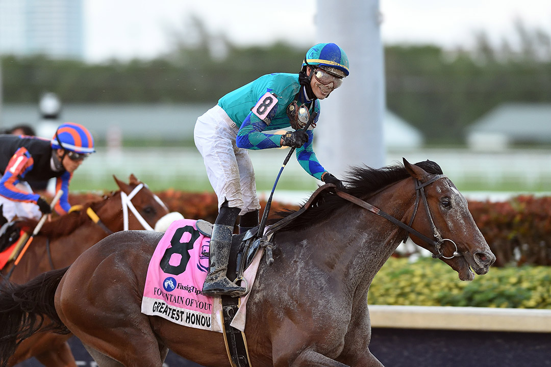 Greatest Honour wins the Fountain of Youth Stakes at Gulfstream Park
