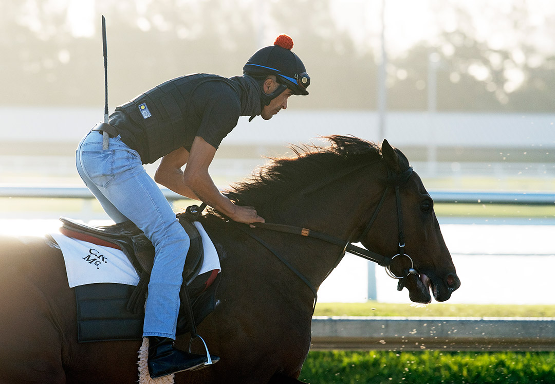 Greatest Honour trains at Gulfstream Park on March 25
