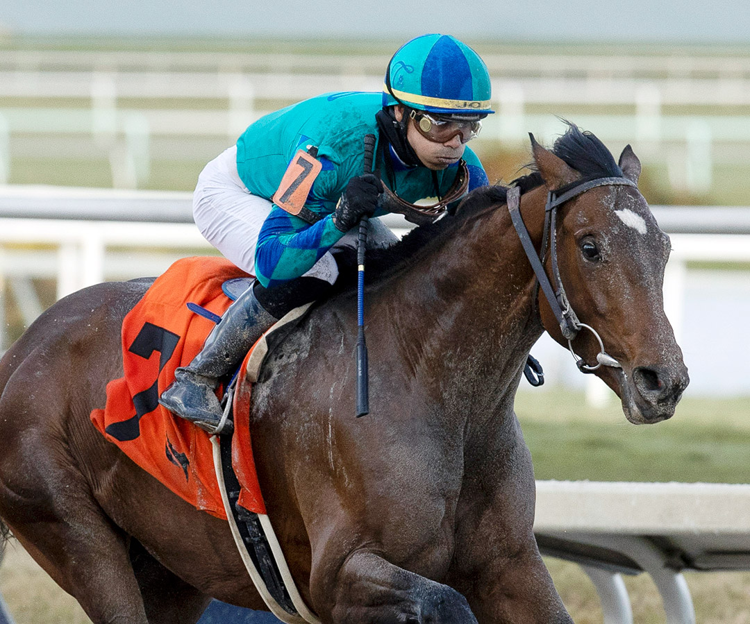 Greatest Honour wins the 2021 Holy Bull Stakes at Gulfstream Park