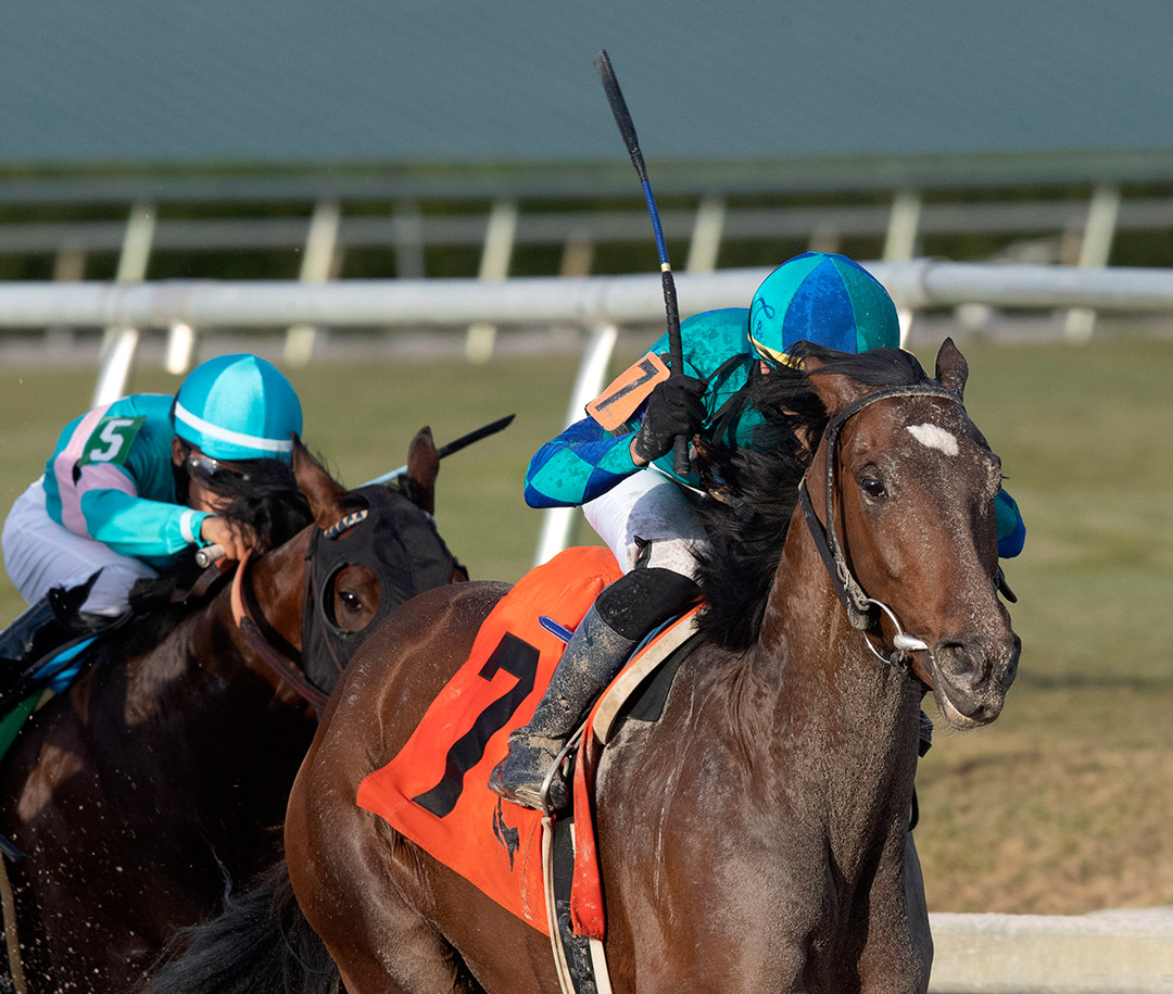 Greatest Honour expected to have at least nine rivals in Florida Derby