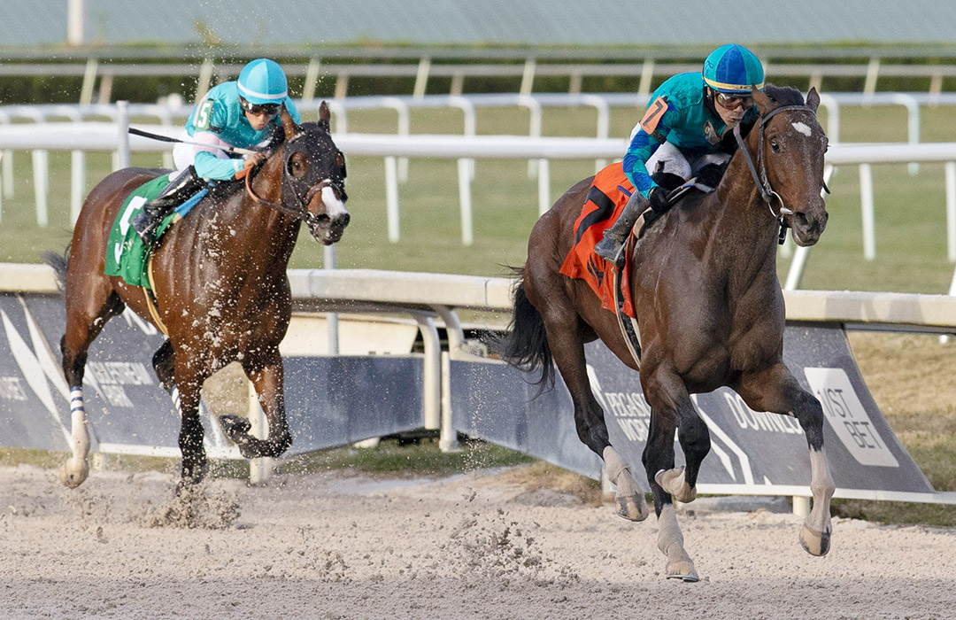 Greatest Honour wins the 2021 Holy Bull at Gulfstream Park