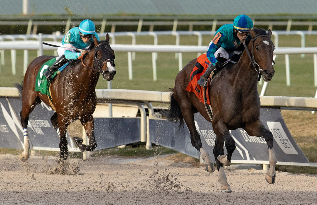 Greatest Honour wins the 2021 Holy Bull at Gulfstream Park
