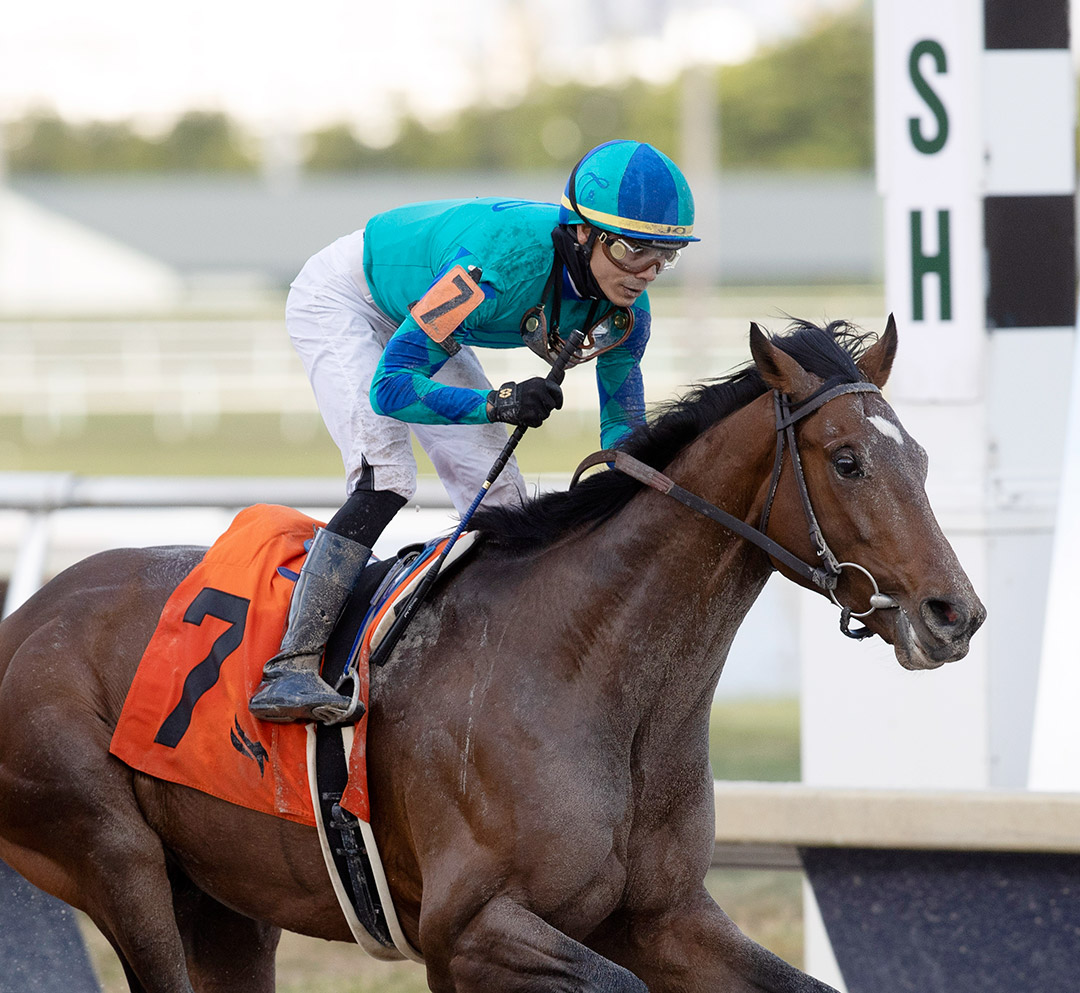 Greatest Honour wins the Holy Bull at Gulfstream Park