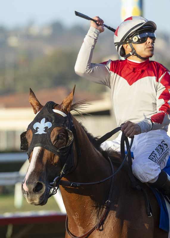 Grecian Fire following victory in the 2019 California Dreamin