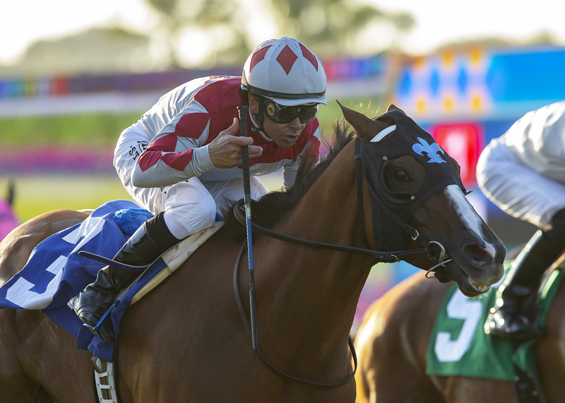 Grecian Fire wins the 2019 California Dreamin Stakes