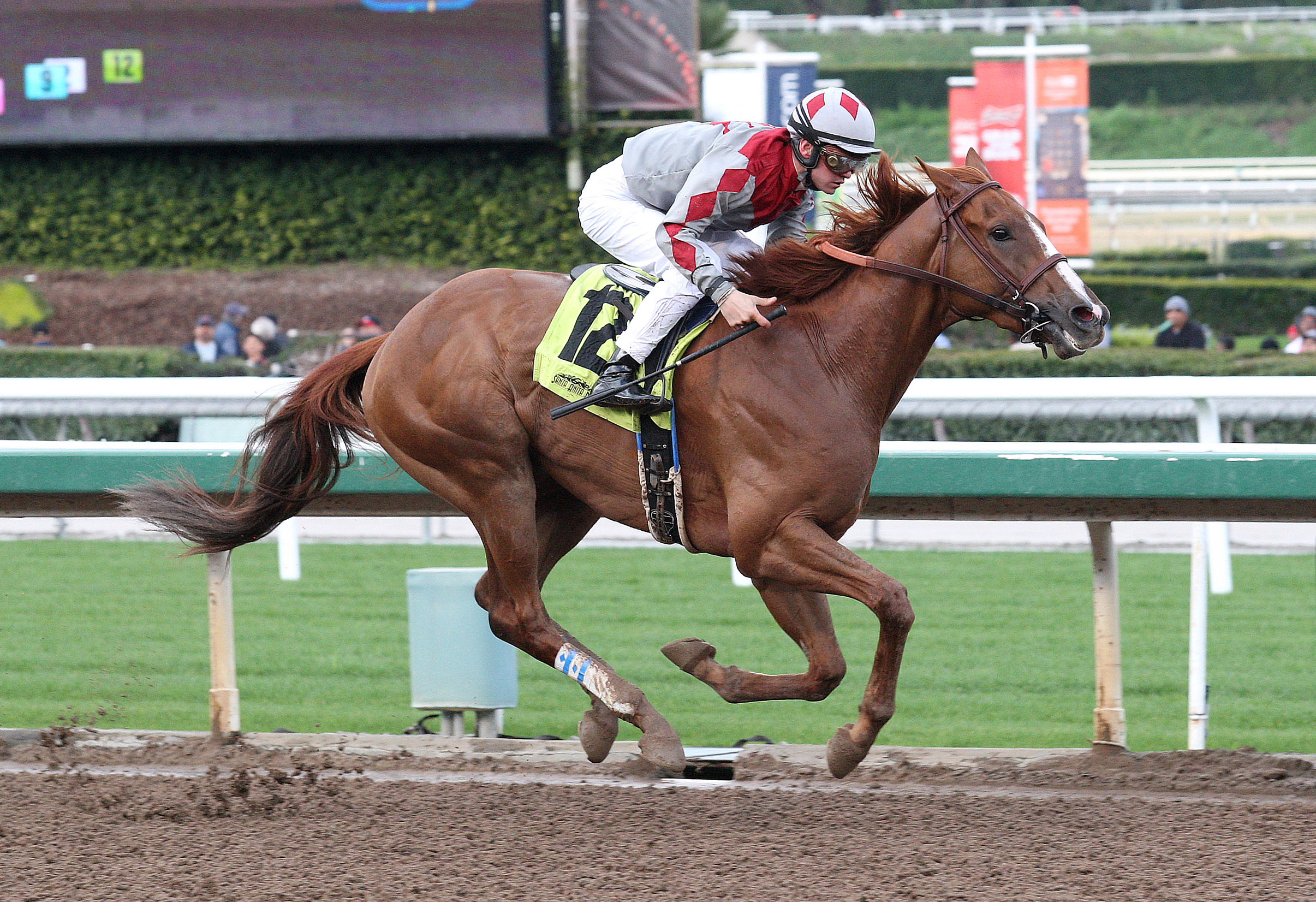 Grecian Fire wins a maiden race