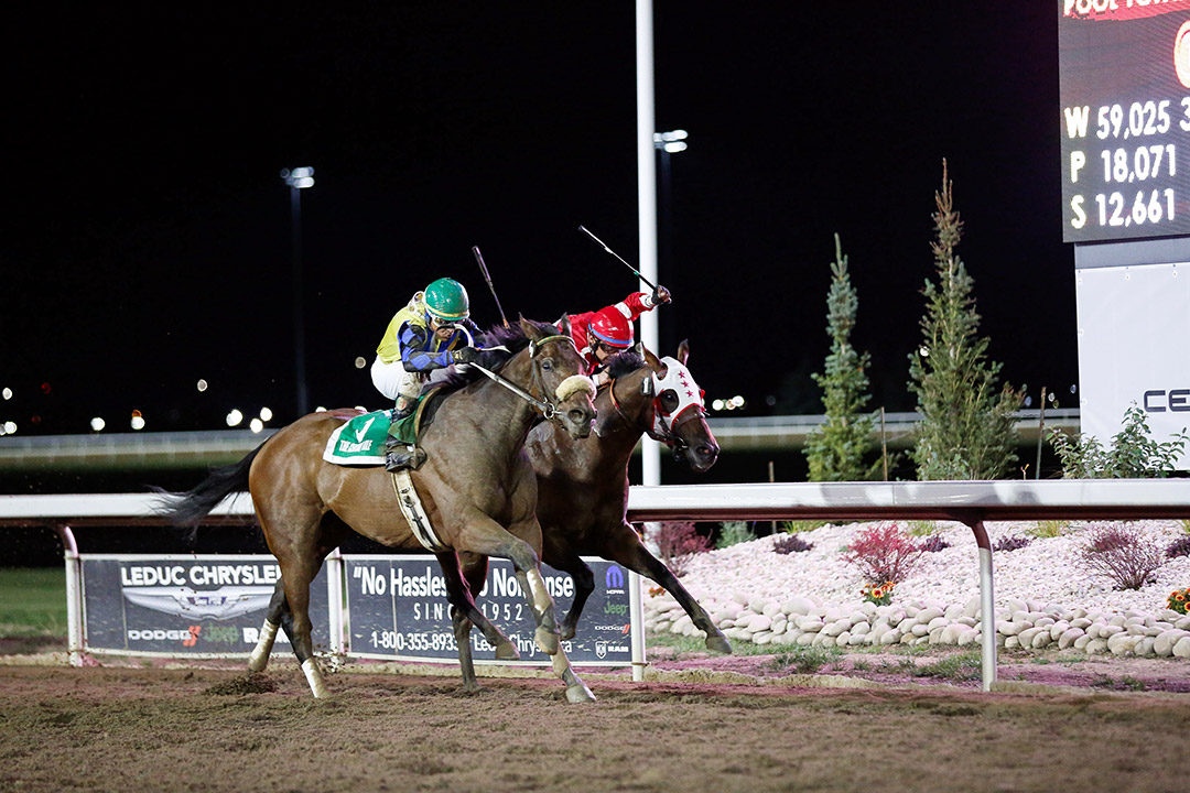 Greek Geek (No. 5) wins the 2021 Century Mile Handicap at Century Mile
