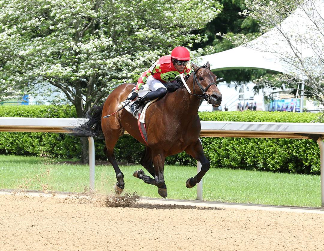 Greeley and Ben wins an April 24 allowance at Oaklawn Park