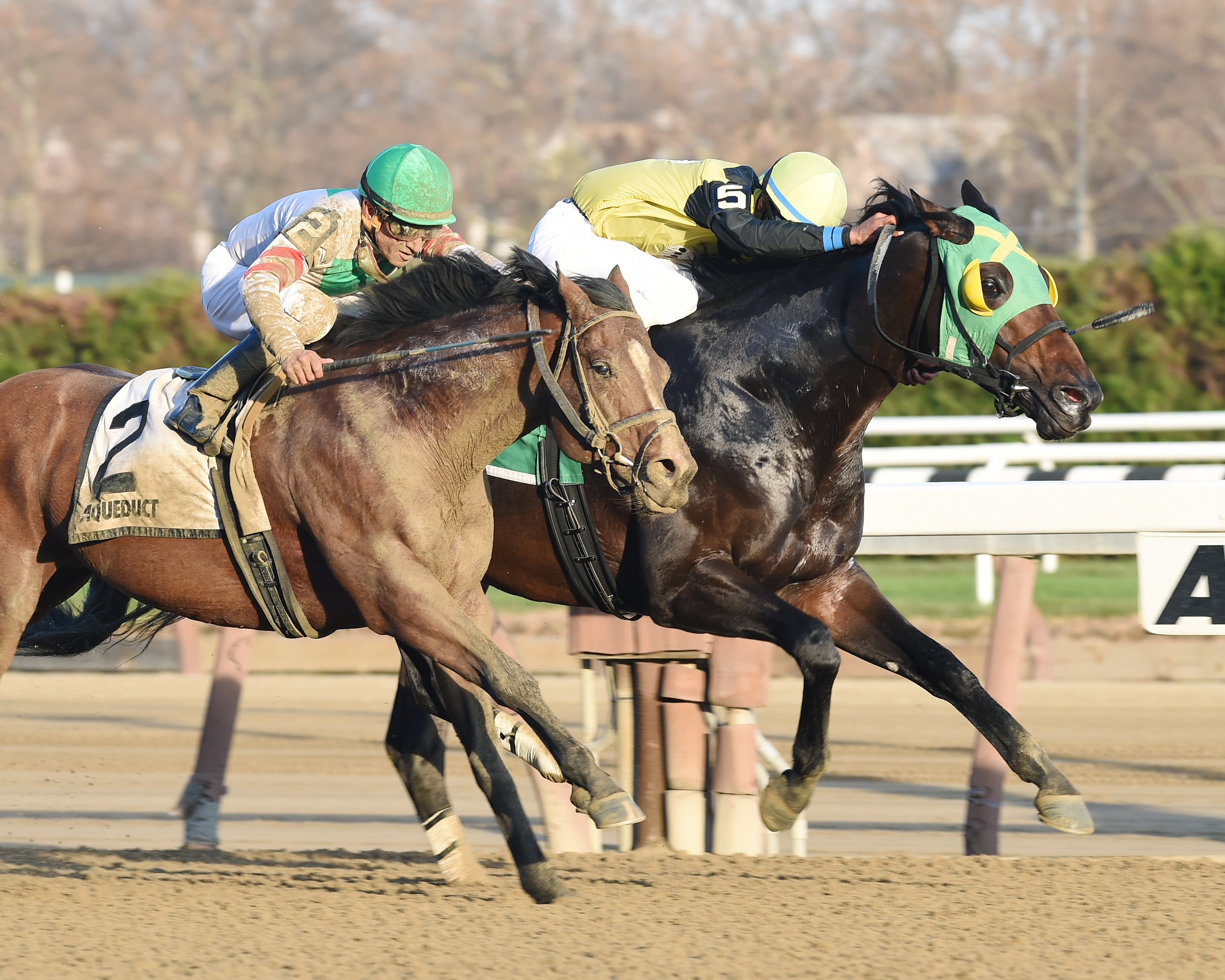 Green Gratto wins the Fall Highweight Handicap
