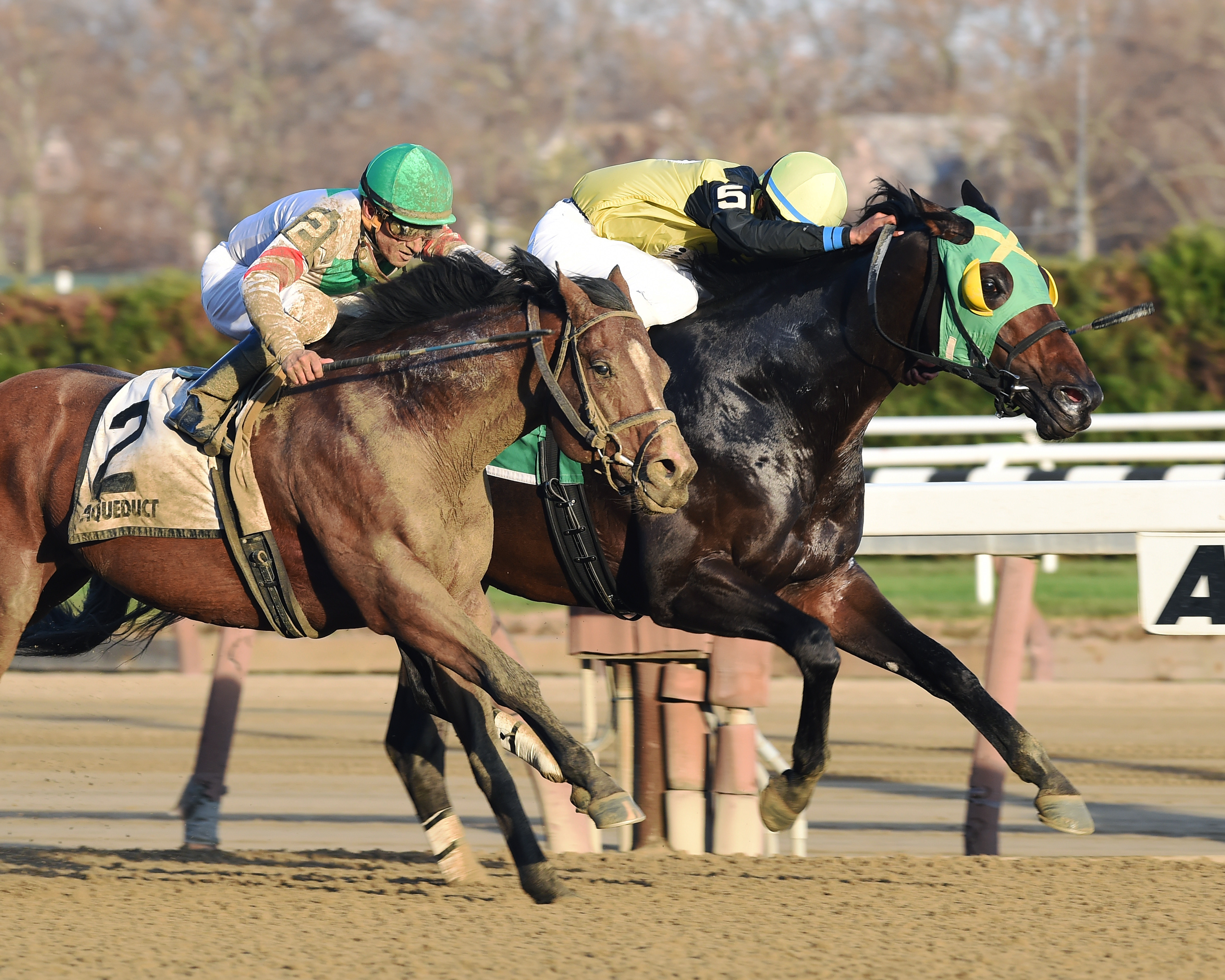 Green Gratto wins the Fall Highweight Handicap