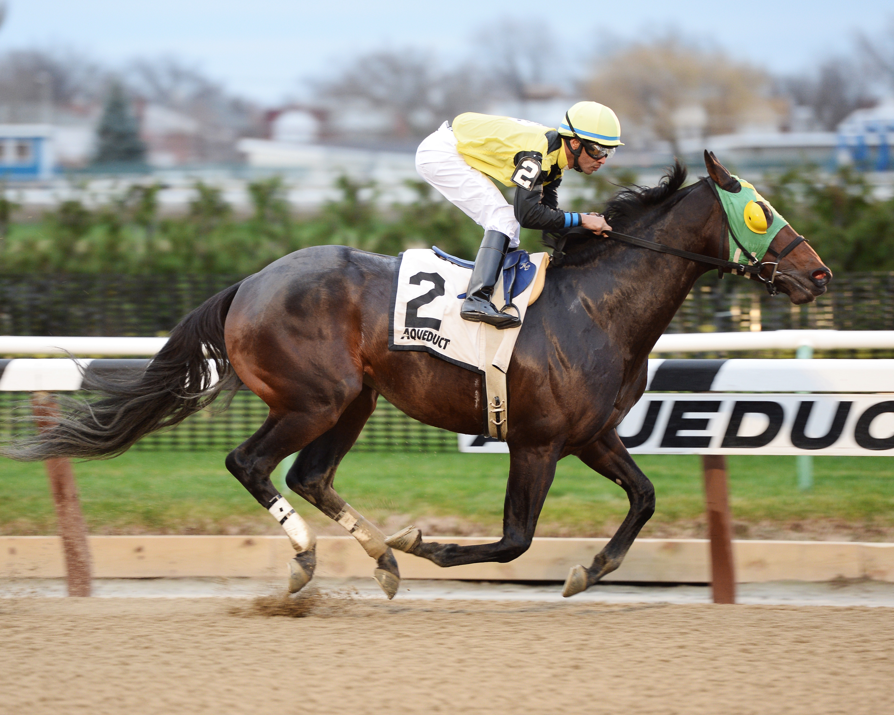 Green Gratto wins the Gravesend