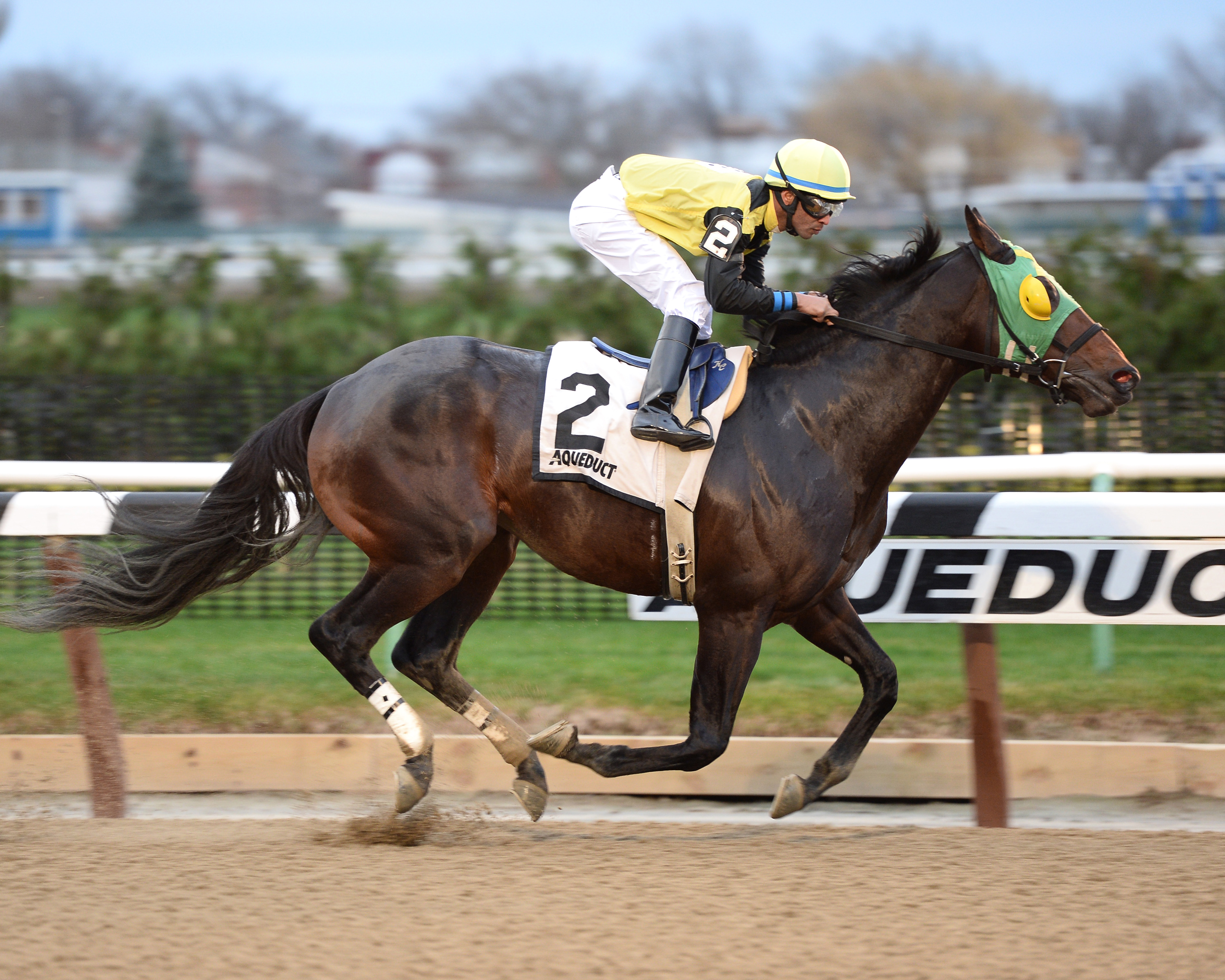 Green Gratto wins the Gravesend