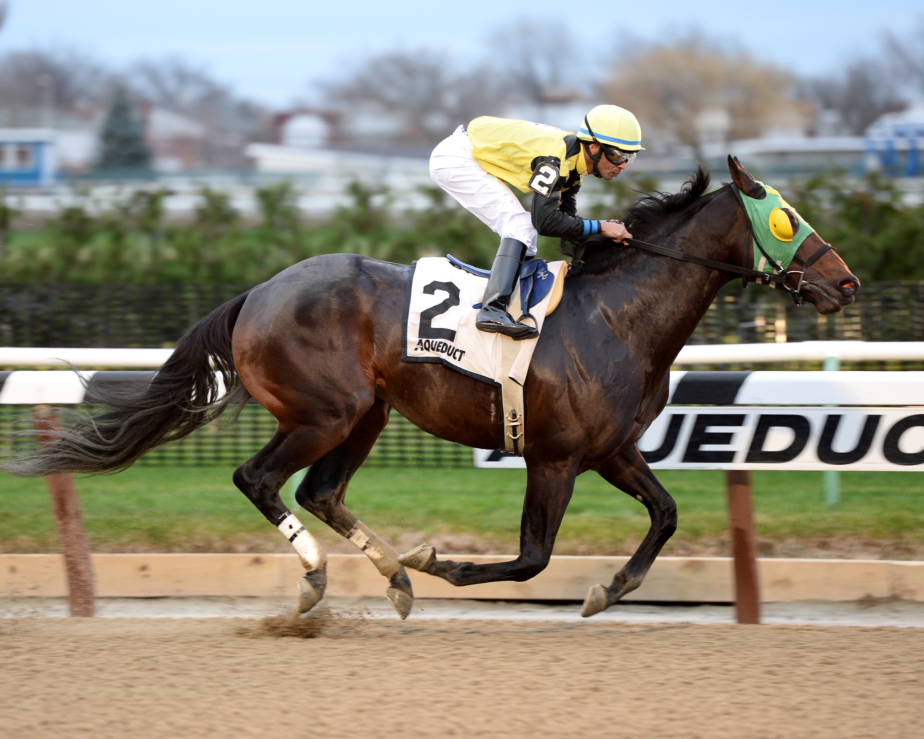 Green Gratto wins the Gravesend