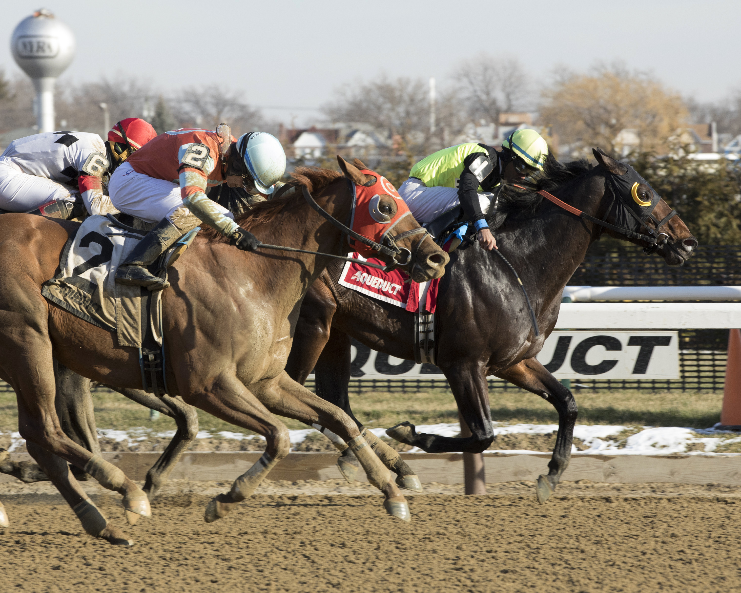 Green Gratto wins the Toboggan Stakes
