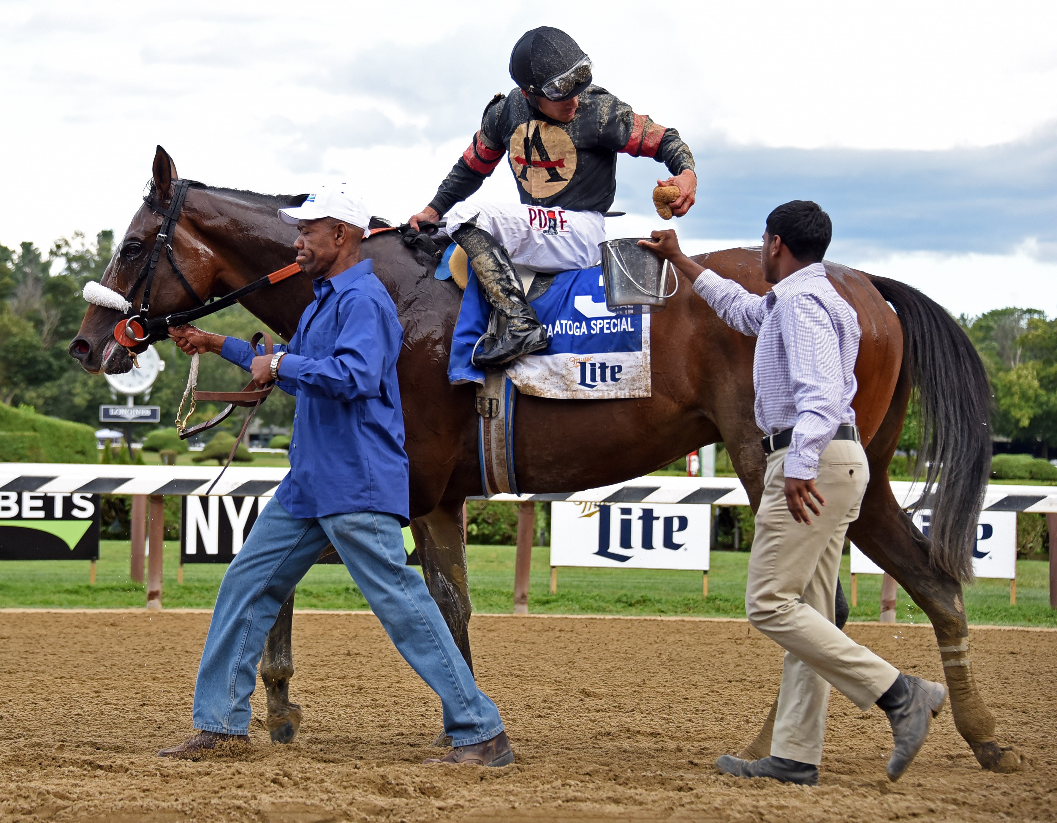 Green Light Go following his win in the 2019 Saratoga Special
