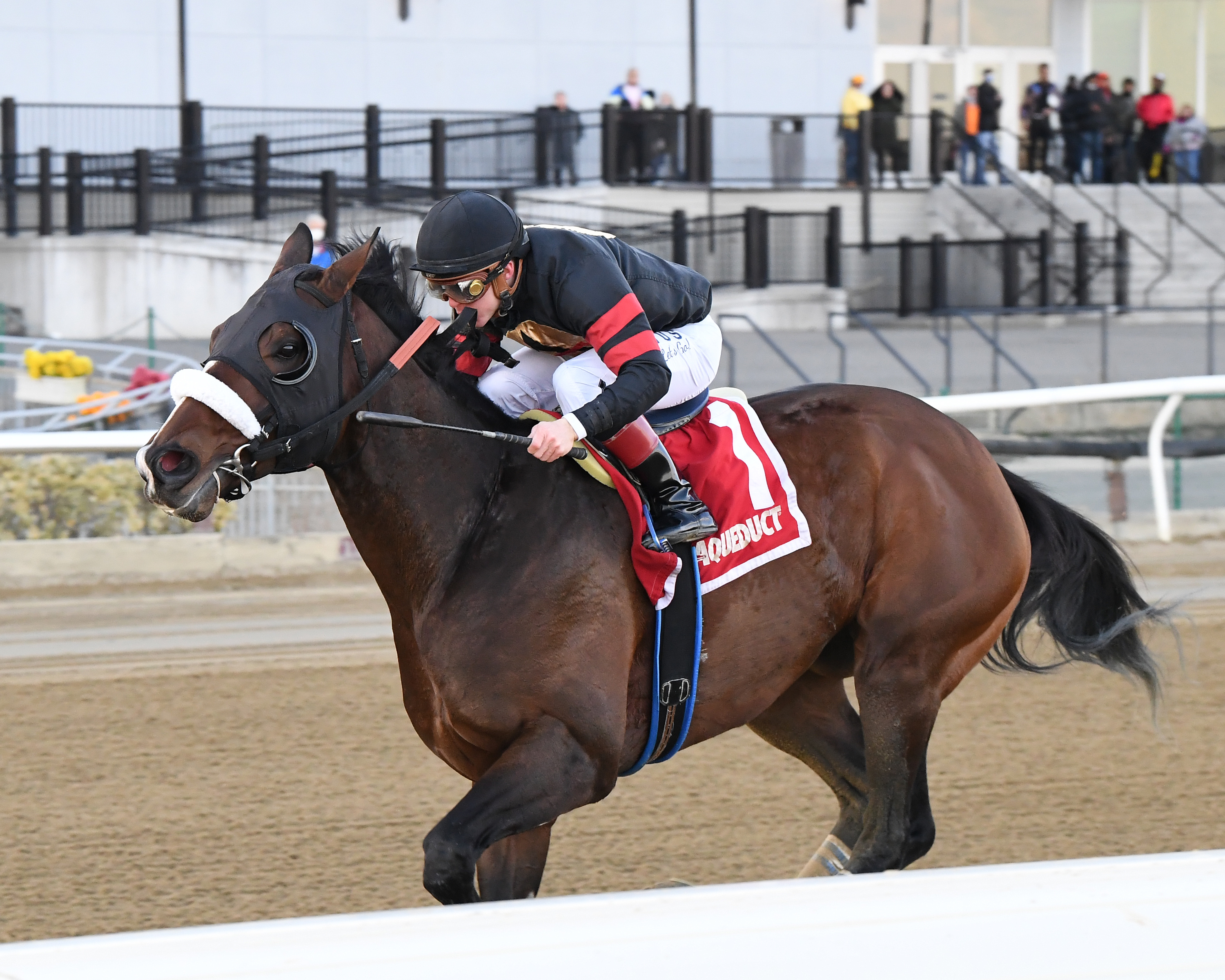 Green Light Go wins the Stymie.02.26-2022