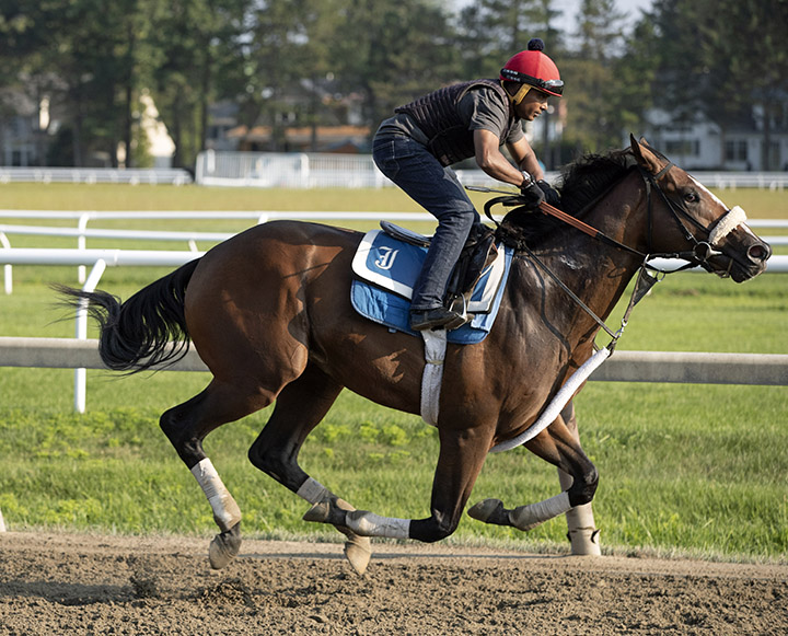 Green Light Go trains at Saratoga Race Course on July 29