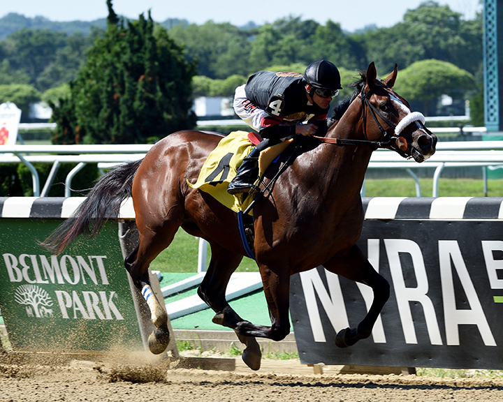Green Light Go wins a July 4 maiden race at Belmont Park