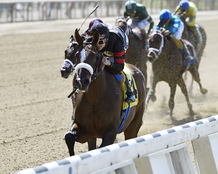 Green Light Go wins a July 4 maiden race at Belmont Park