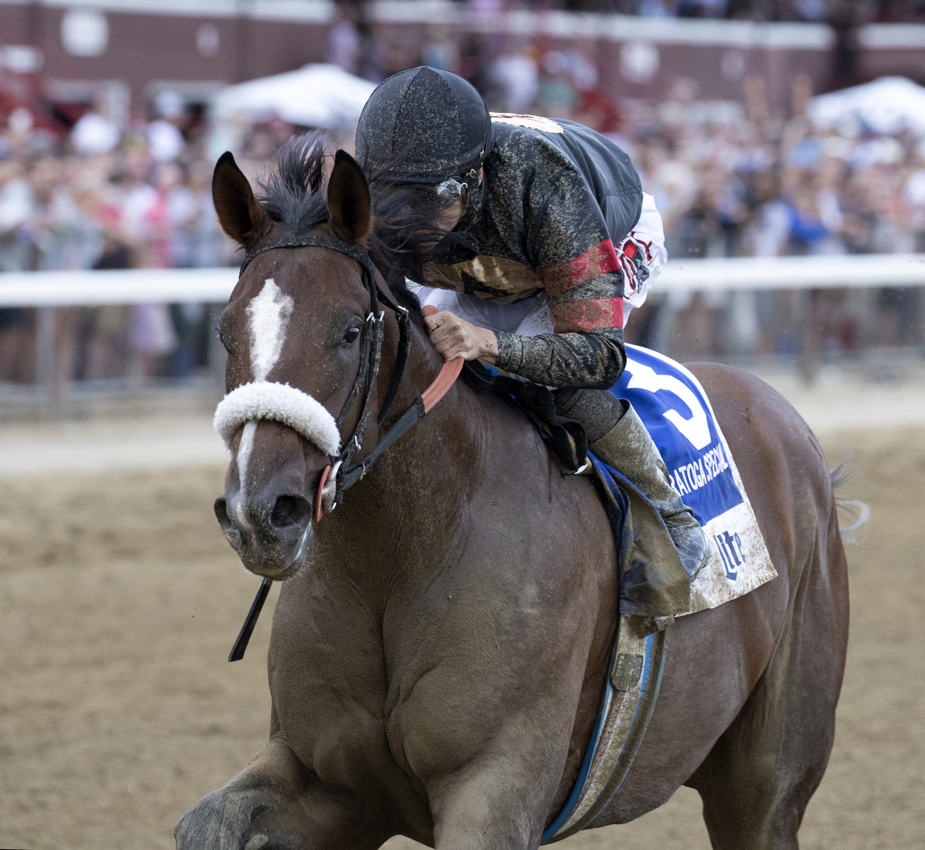 Green Light Go wins the 2019 Saratoga Special