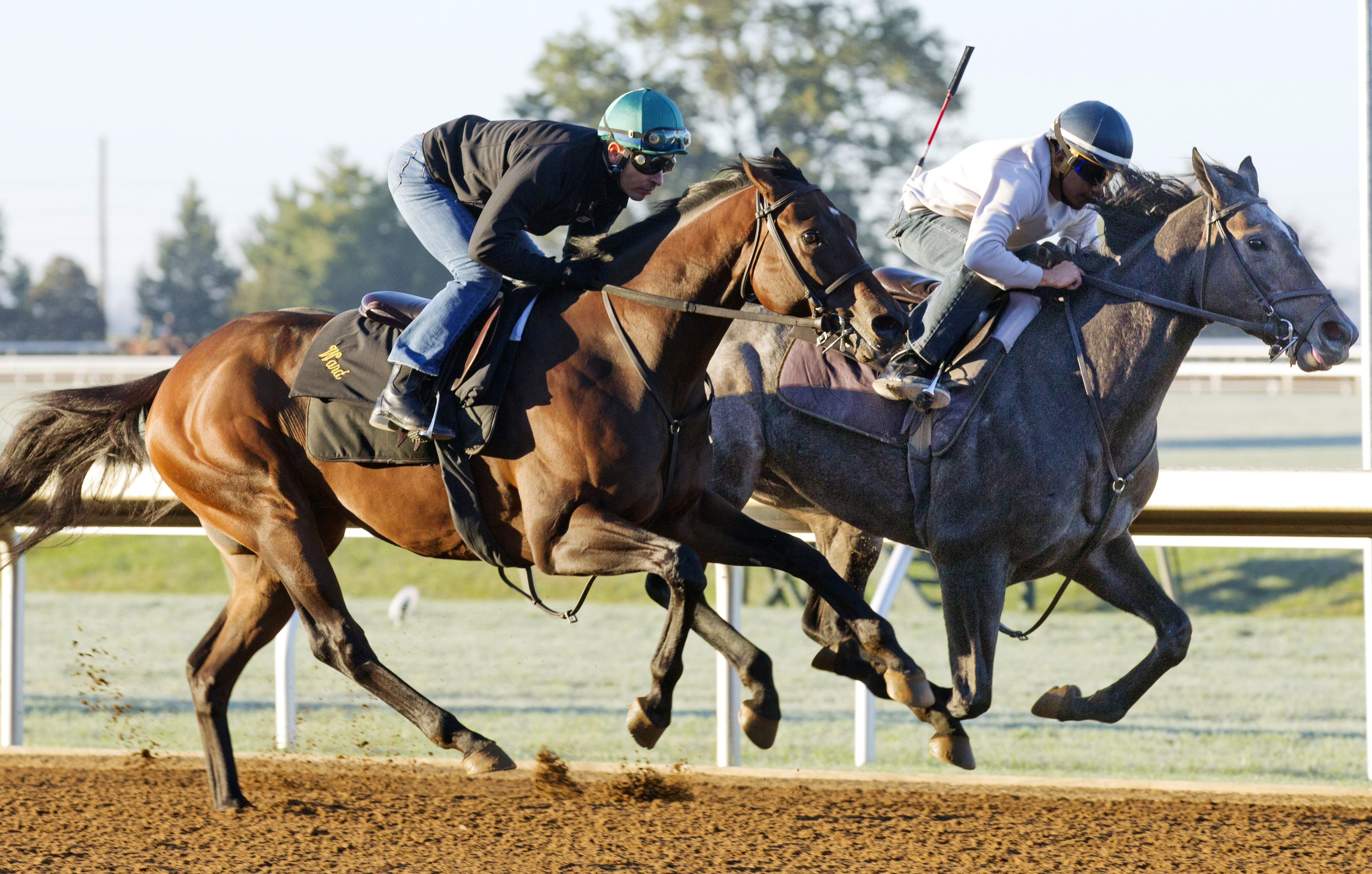 Sunset Glow works at Keeneland on Oct. 18