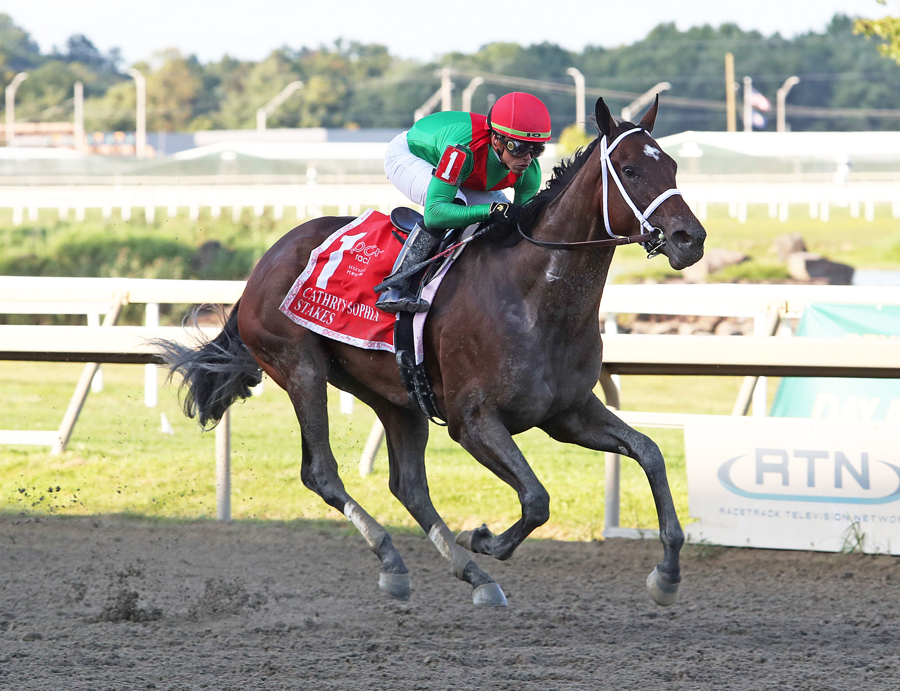 Green Up wins the Cathryn Sophia at Parx Aug 23 2022
