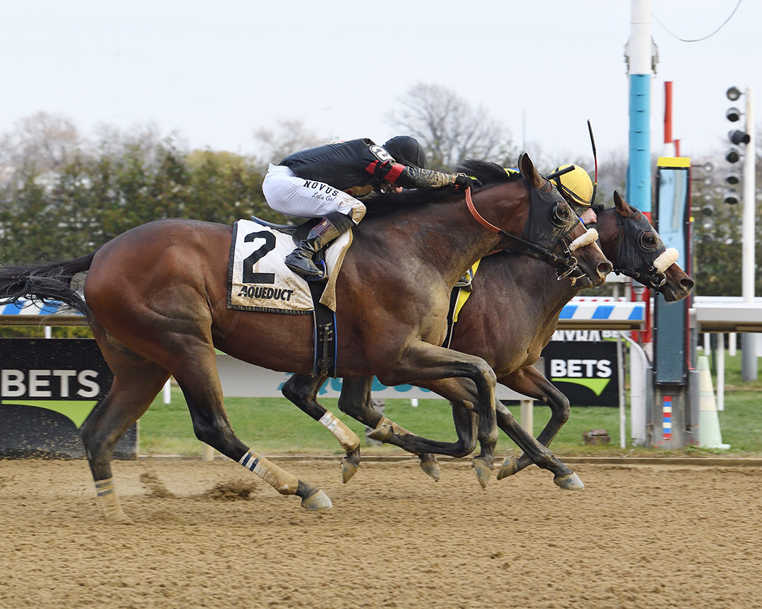 Green Light Go (No. 2) finishes second in the Fall Highweight at Aqueduct