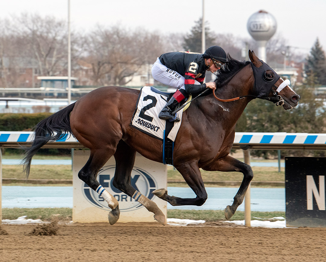 Green Light Go wins a Jan. 13 allowance race at Aqueduct