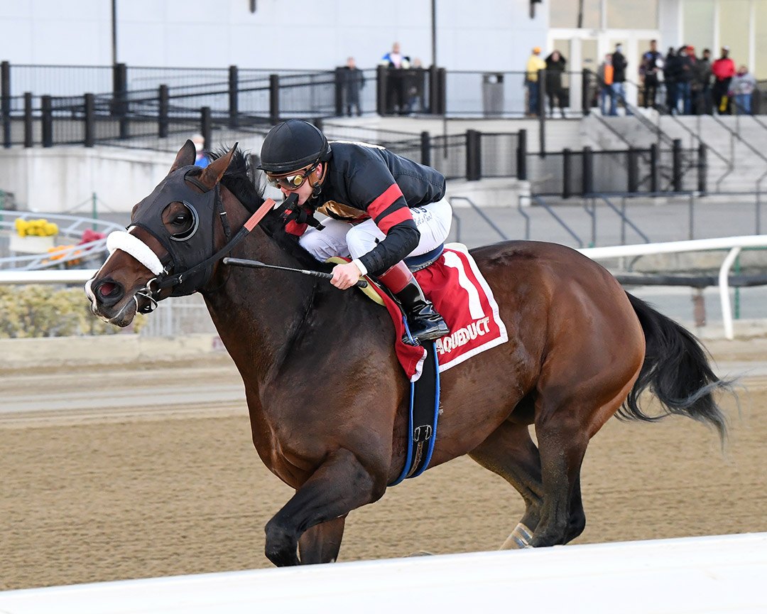 Green Light Go wins the 2022 Stymie Stakes at Aqueduct Racetrack